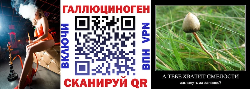 мориарти как зайти  Ефремов  Псилоцибиновые грибы Psilocybe 
